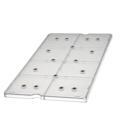 Buttom plate 
