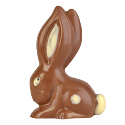 Lapin avec oreilles longues 