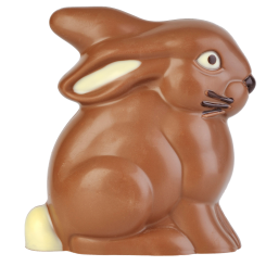 Lapin assis avec oreilles tombantes 