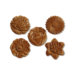 5 Fleurs differentes 