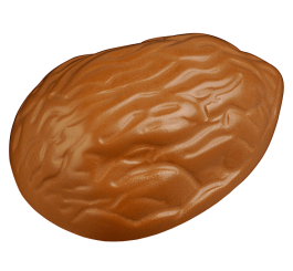 chocolat style noix 