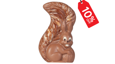 Squirrel 