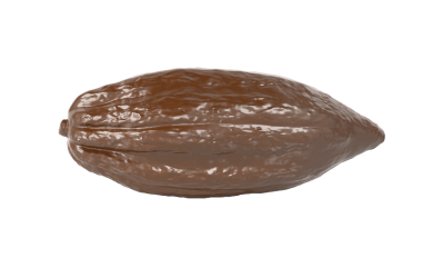Cacao pod 
