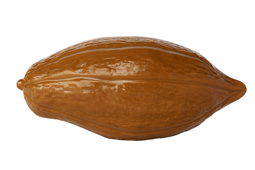 Cacao pod, round 