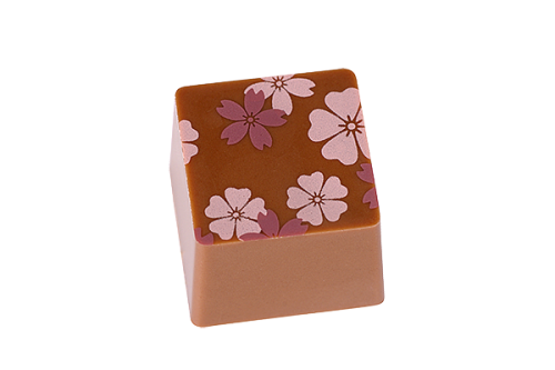 Artikelbild des Artikels “Quadratpraline “