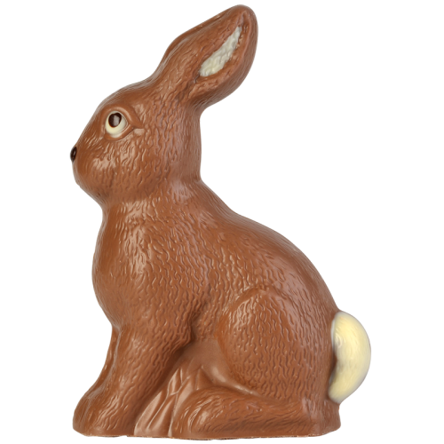 Artikelbild des Artikels “Sitzender Hase “