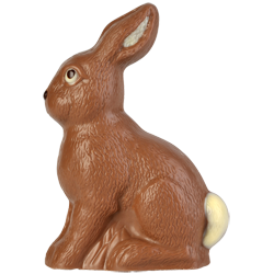 Artikelbild des Artikels “Sitzender Hase “