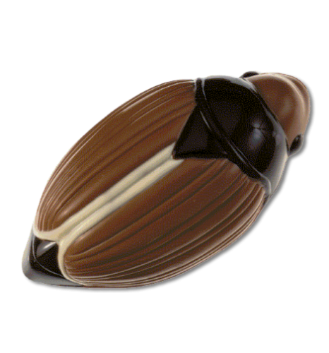Product image of the product “Cockchafer ”