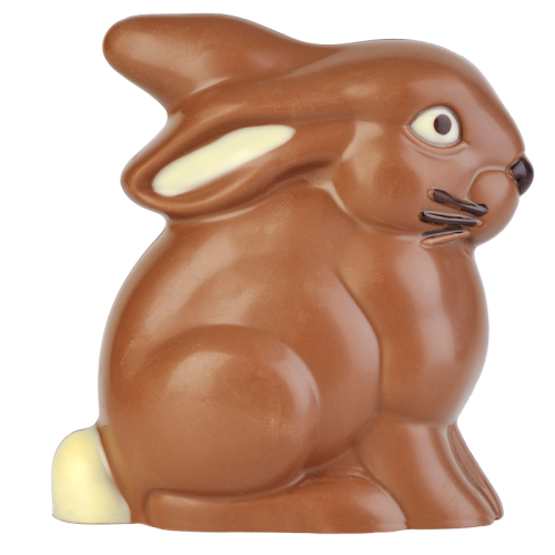Artikelbild des Artikels “Sitzhase “
