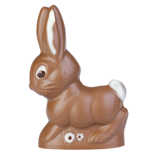 Artikelbild des Artikels “Hase laufend “