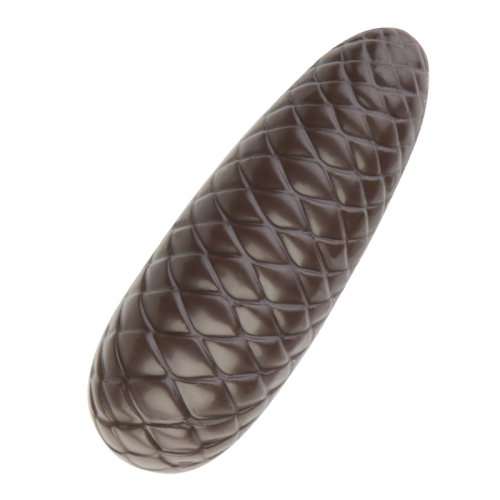 Artikelbild des Artikels “Tannenzapfen “