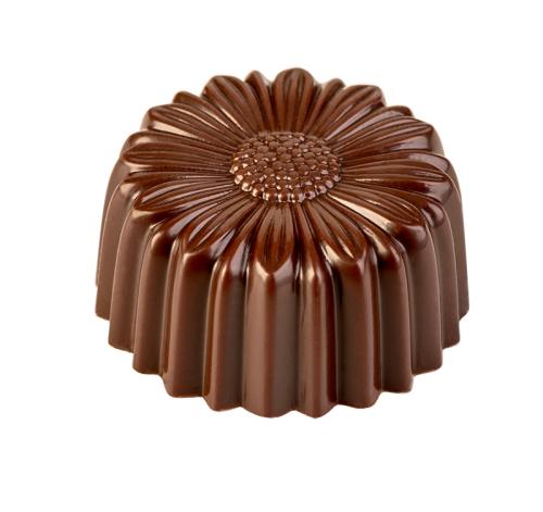 Artikelbild des Artikels “Praline 