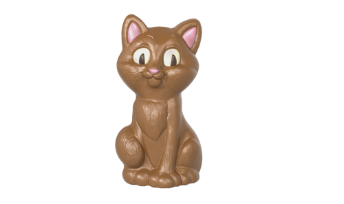 Artikelbild des Artikels “Katze 