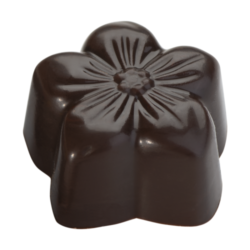 Artikelbild des Artikels “Praline 