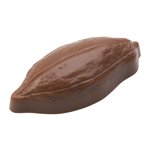 Artikelbild des Artikels “Kakaofrucht “