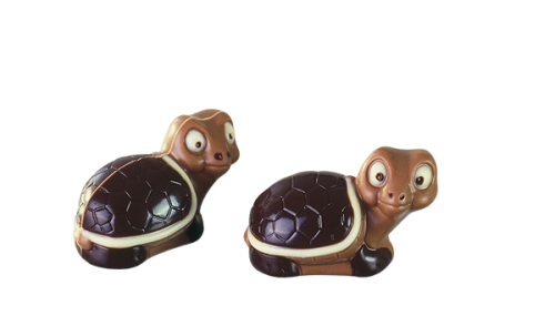 Artikelbild des Artikels “Schildkröte “