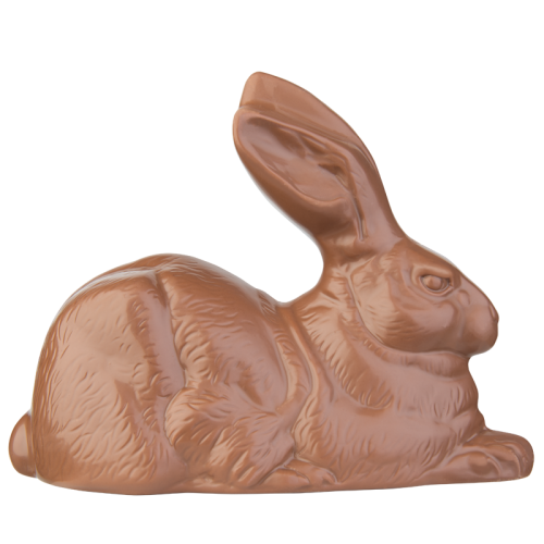 Product image of the product “European Hare ”