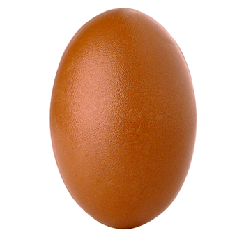 Oval Egg, mat surface 