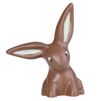 Lapin avec oreilles tombantes 