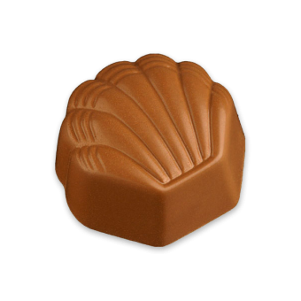 Muschelpraline 