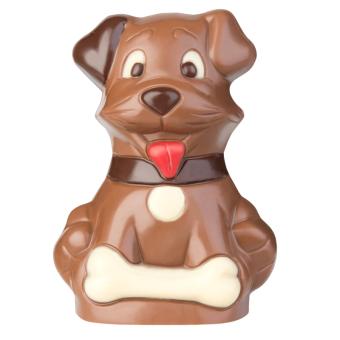 Dog "Jacky" 