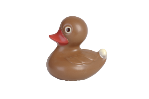 Swimming duck 
