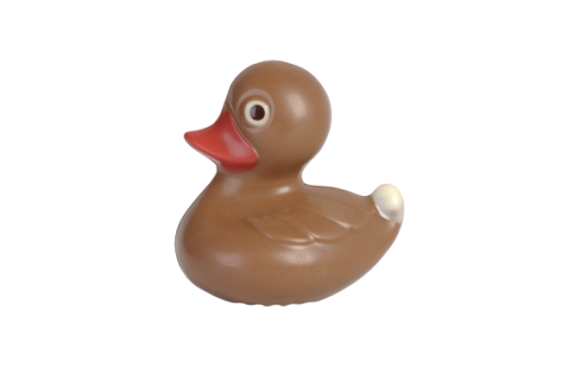 Petit canard surface 