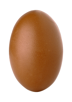 Oval egg, mat surface 