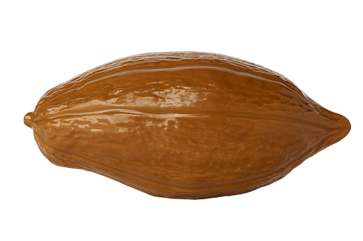 Cacao pod, round 