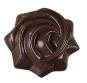 Product image 1 of the product “Star praline ”