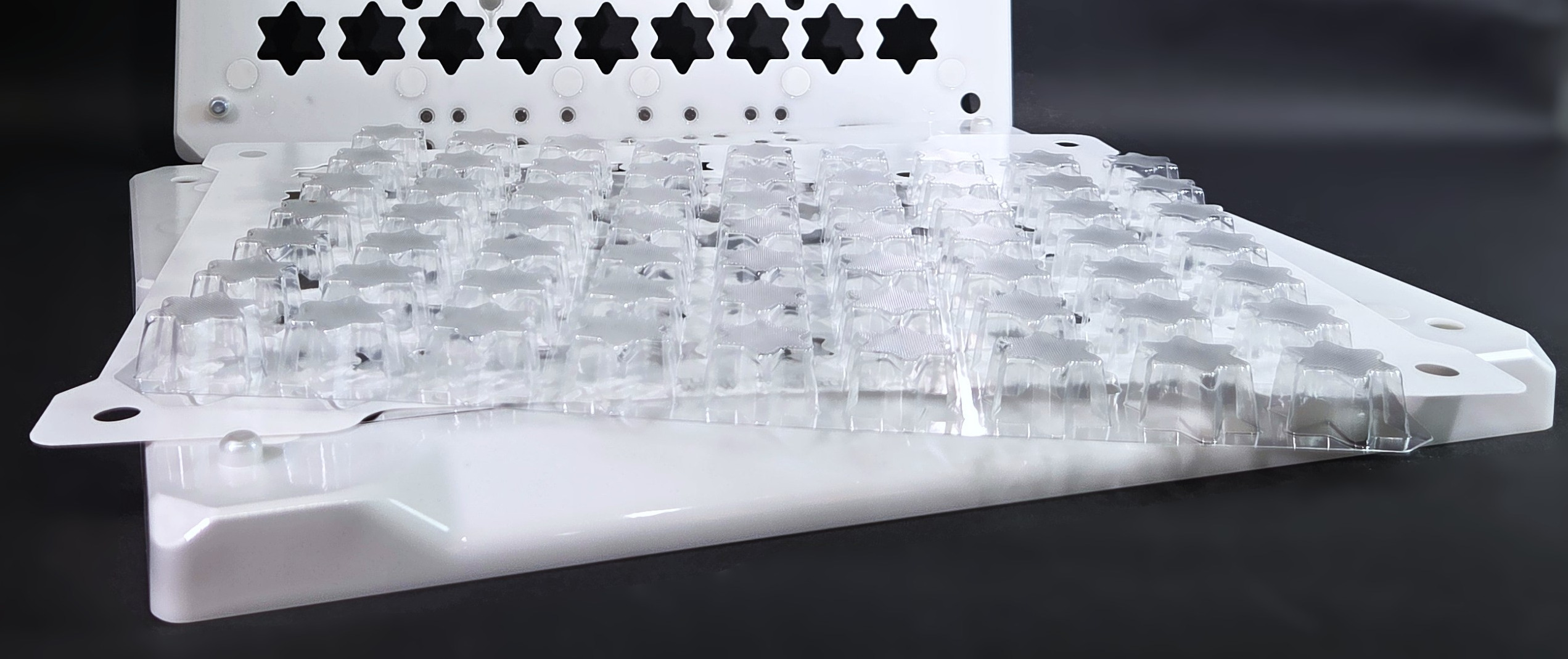 Artikelbild 1 des Artikels “EASYCUPS Einwegblister 