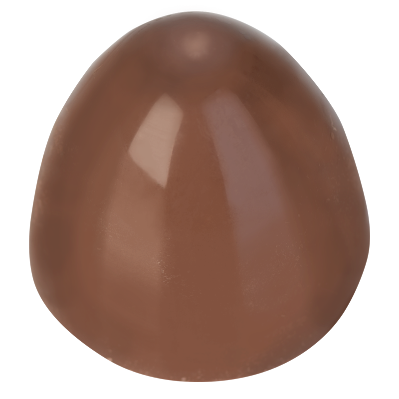 Artikelbild 2 des Artikels “EASYTRUFFLER Mehrwegblister-Unterteil Ei “