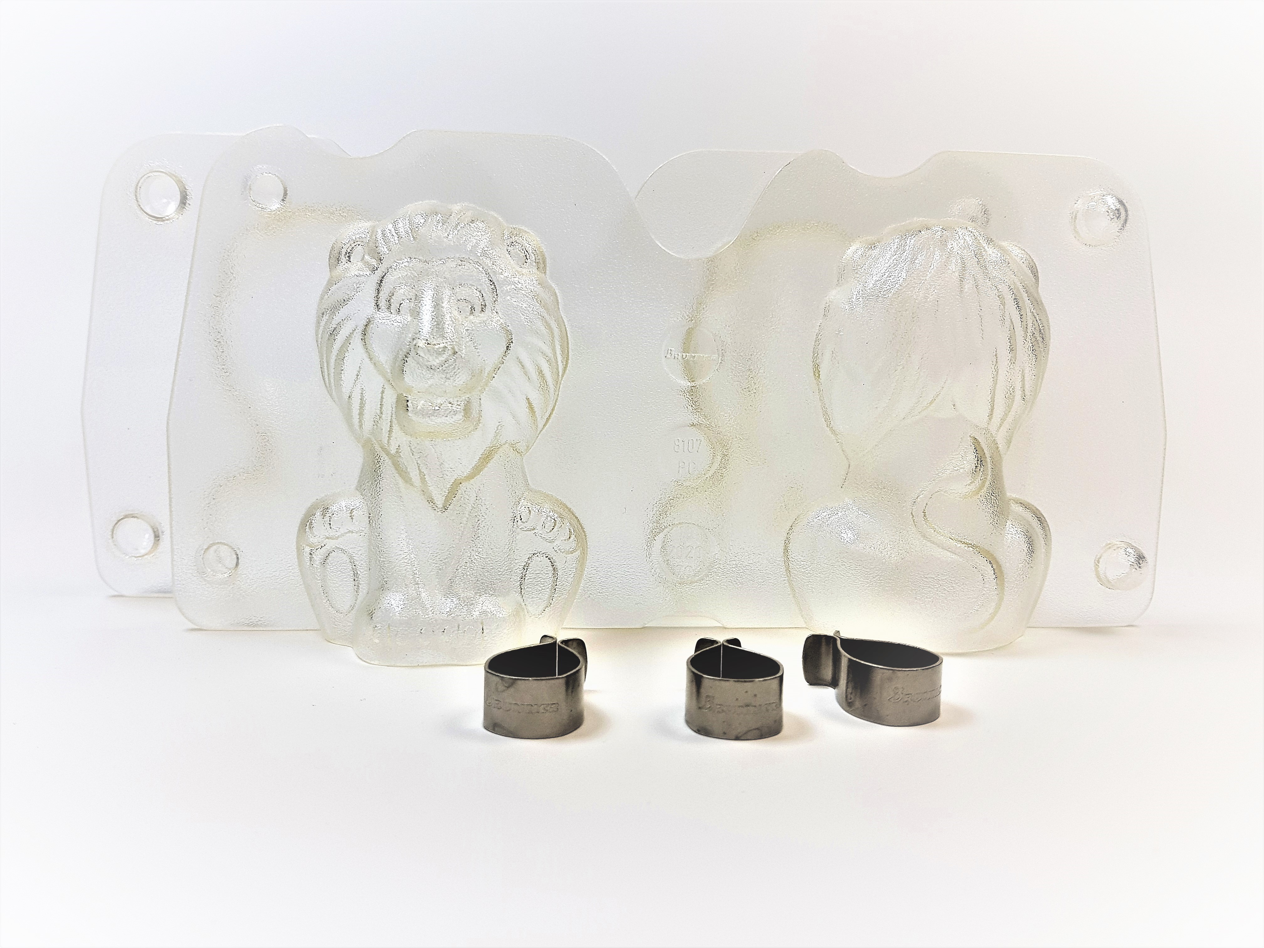 Artikelbild 2 des Artikels “Löwe 