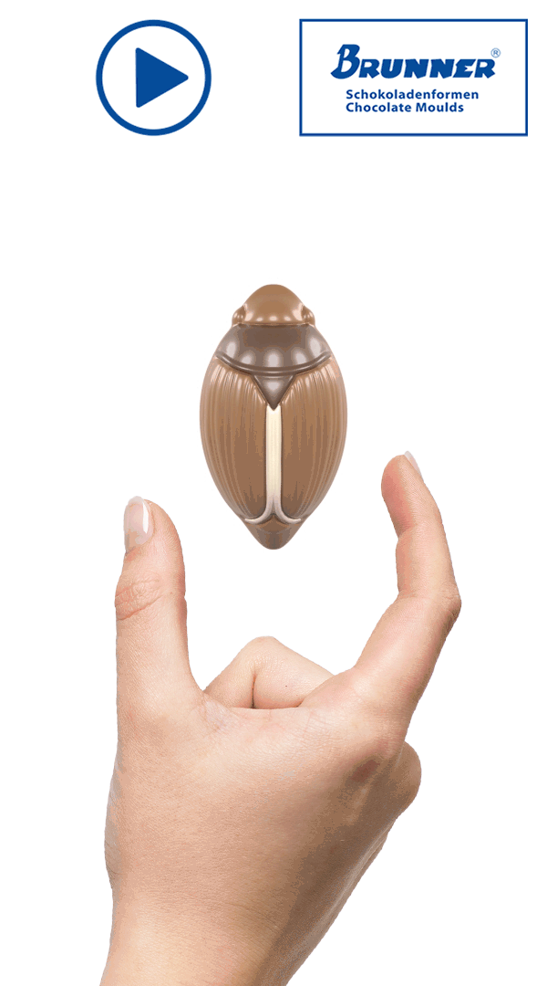 Artikelbild 2 des Artikels “Maikäfer “