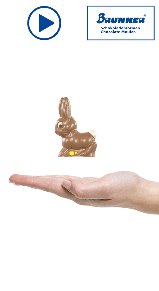 Artikelbild 2 des Artikels “Hase laufend “