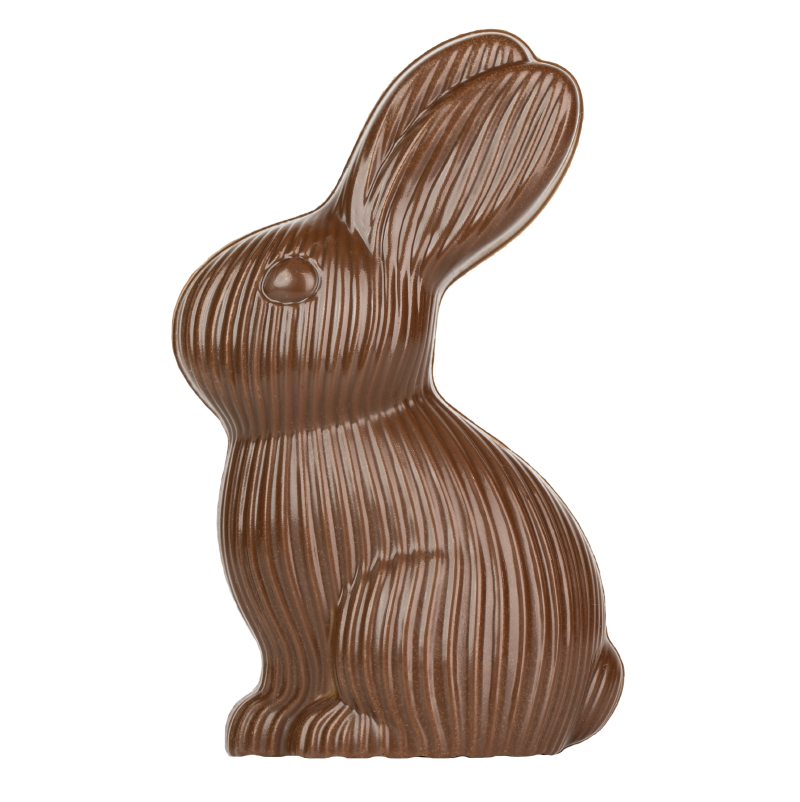 Artikelbild 2 des Artikels “Hase Cord “