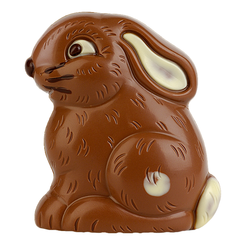Artikelbild 2 des Artikels “Sitzhase “