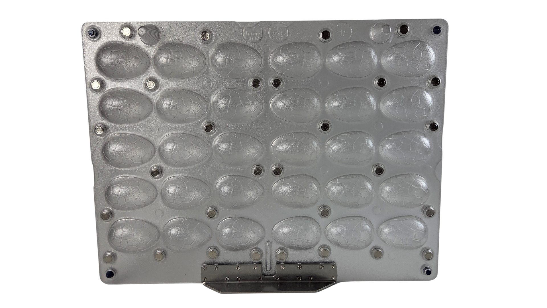 Product image 2 of the product “Egg crocodile style ”
