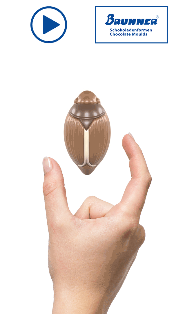 Artikelbild 3 des Artikels “Maikäfer “