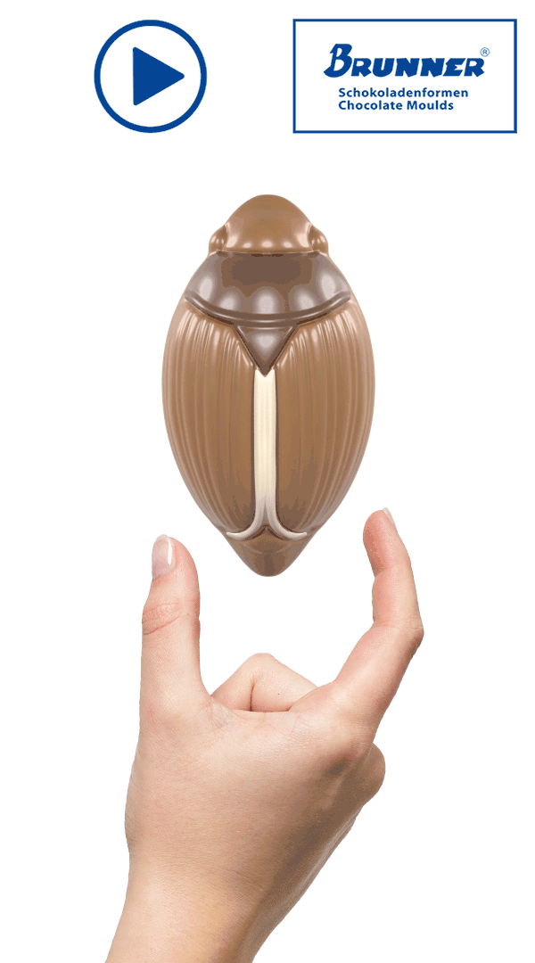 Product image 3 of the product “Cockchafer ”