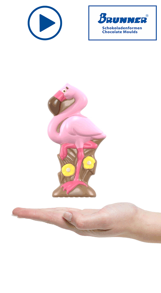 Artikelbild 3 des Artikels “Flamingo 