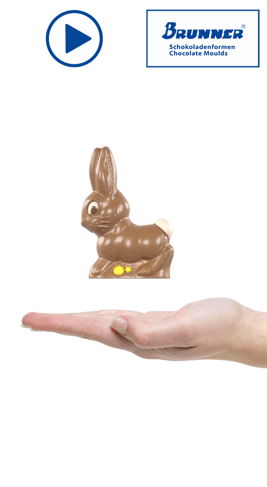 Artikelbild 3 des Artikels “Hase laufend “