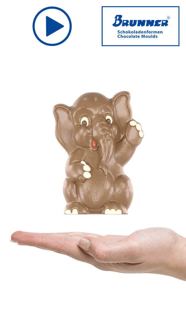 Artikelbild 3 des Artikels “Elefant 
