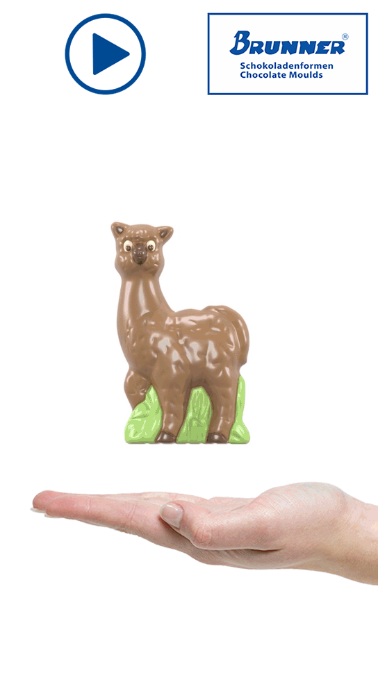 Artikelbild 5 des Artikels “Lama 